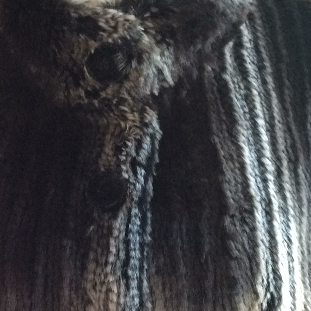 Coat - Picture 2 of 3